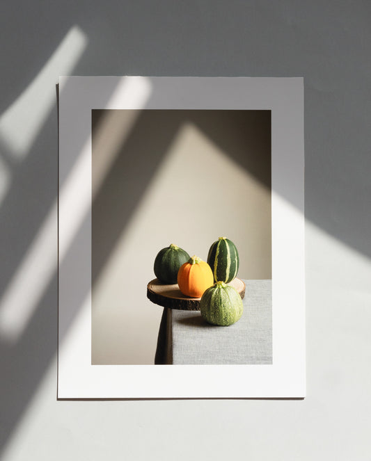 Courgette Family, fine art photography print by Krati, food still-life on Hahnemühle Photo Rag Pearl Paper